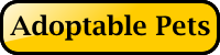 Adoptable Pets