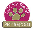 Lucky Paws